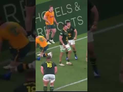 🔥 79 minutes. Australia 42–31 South Africa. Then THIS happened. 😳🏉